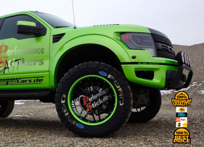 FORD F-150 camouflage , a Set for 4 tires (575)