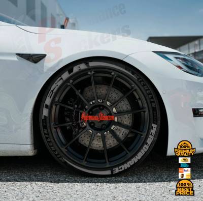 TESLA PERFORMANCE + STRIPES grey, a Set for 4 tires (748)